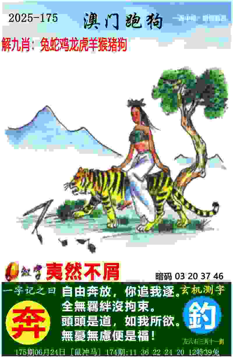 安徽省青少年城市足球联赛（合肥赛区）下周收官